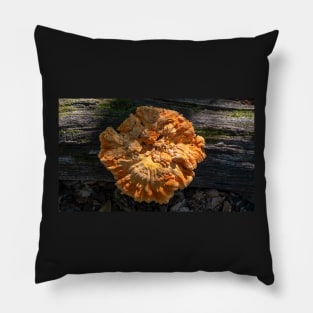 Chicken of the woods in all of it's glory Pillow