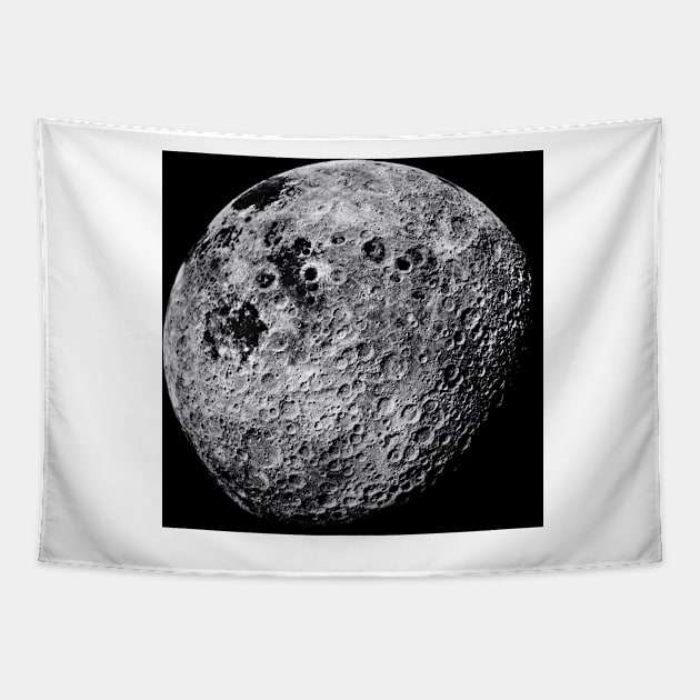 Far side of the Moon (R340/0613) Tapestry by SciencePhoto