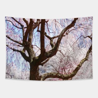 Spring - Cherry Tree Closeup Tapestry