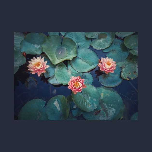 three waterlilies by psychoshadow