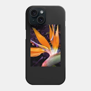 Bird of Paradise Phone Case