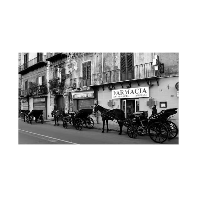 Horse Carriages in Palermo, Italy. 2014 by IgorPozdnyakov