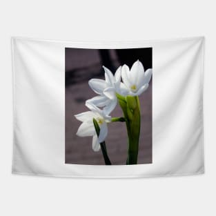 White Narcissus Tapestry