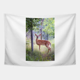 White-Tailed Deer Fawn Tapestry