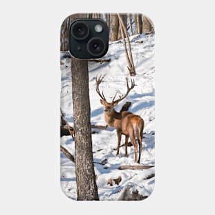 Red Deer In Winter Woods Phone Case