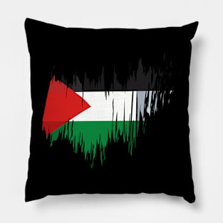 Palestine Pillow