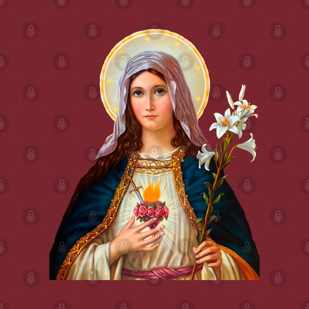 Immaculate Heart of Mary - II by Brasilia Catholic