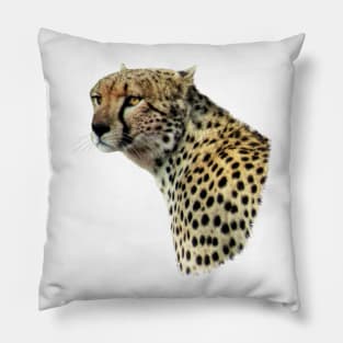 Cheetah - Cat - Big Cat in Kenya / Africa Pillow