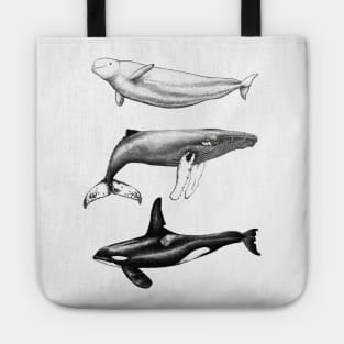 Beluga, orca and humpback whale ink Tote