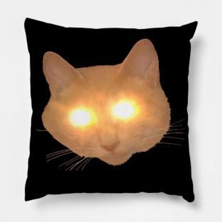 Cat  Powers Pillow