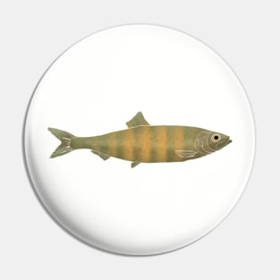 North American River Fish Pin