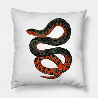 Scary Snake Pillow