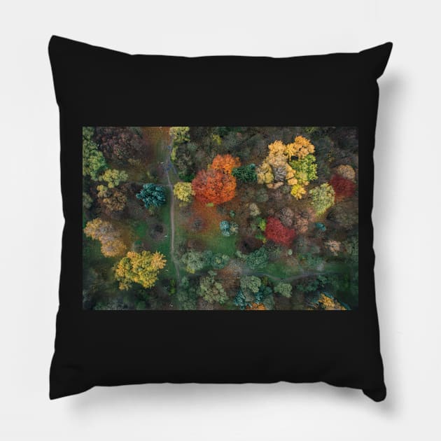 Fall colours from above 2 Pillow by a-photo