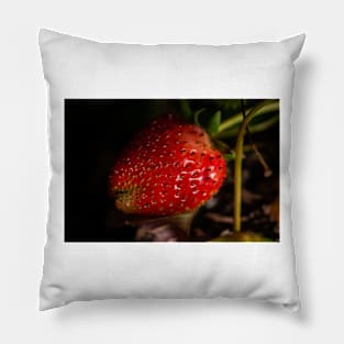 Strawberry 3 Pillow