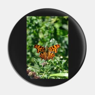 Comma Butterfly Pin