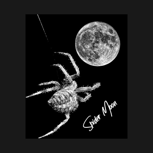 Spider Moon by JohnStanton