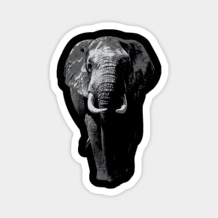 Elephant Big Five Africa Magnet