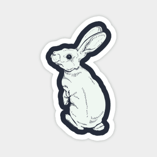 White Rabbit Spotted Magnet