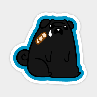 Sad Hurt Black Pug Magnet