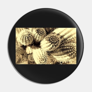 Cacti - photography Pin