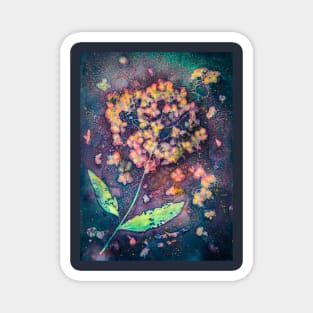 Hydrangea cyanotype Magnet