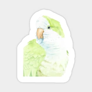 monk quaker green parakeet watercolor portrait Magnet