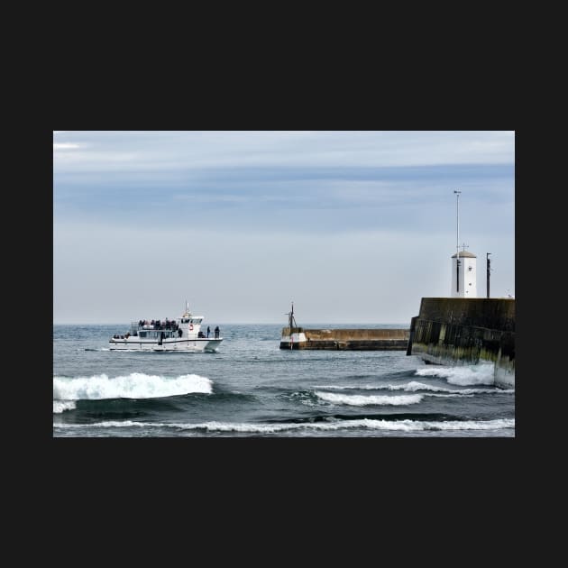 Tour boat returning from the Farne Islands to harbour, Northumberland, UK by richflintphoto