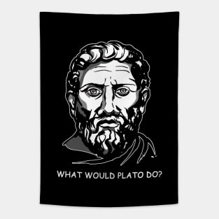 What would Plato Do Tapestry