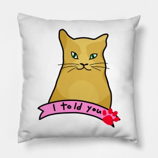 Sassy cat Pillow