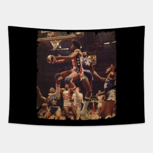 Like for The Classics - Dr. J Tapestry