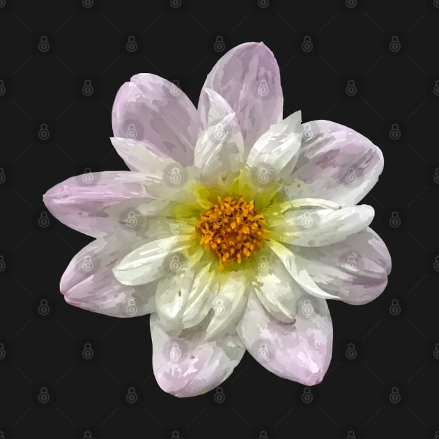 Pretty purple white yellow Dahlia Botanical Bee Flower Annual by BurunduXX-Factory