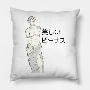 Aesthetic Venus Pillow