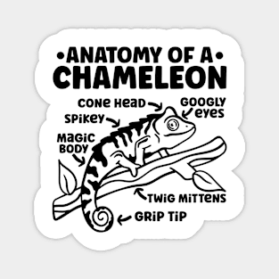 Chameleon Anatomy Of A Chameleon Magnet