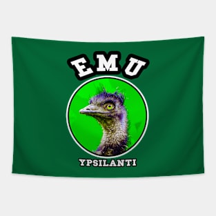 👽 Ypsilanti Michigan Strong, EMU School Spirit, City Pride Tapestry