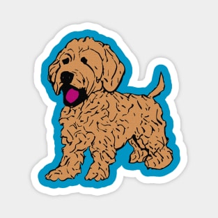 Golden Doodle Magnet