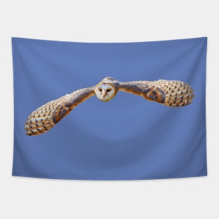 Barn Owl in flight Tapestry