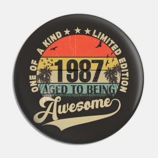 Vintage Year 1987 Pin