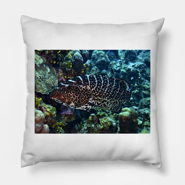 Nassau Grouper Pillow by Scubagirlamy