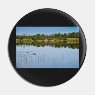 Ducks on a Lake Pin