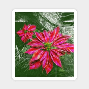 Abstract vibrant red poinsettia on green texture Magnet