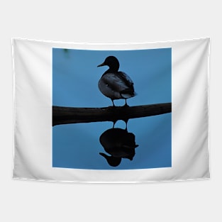 Duck Water Reflection Tapestry