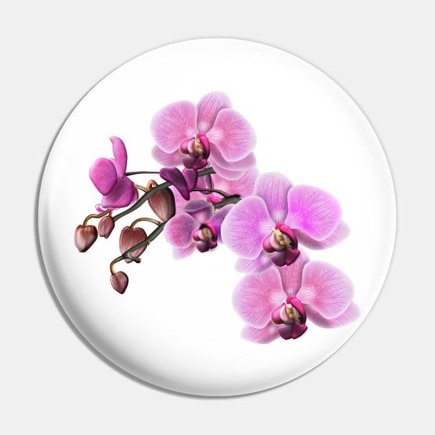 Pink and White Orchids Pin by JAC3D