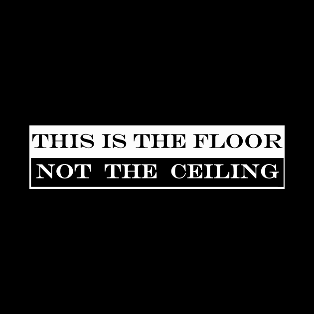 this is the floor not the ceiling by NotComplainingJustAsking