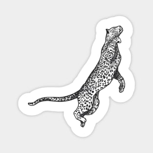 Jaguar Magnet