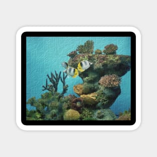 Reef Magnet