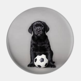 Labrador retriever puppy with ball Pin