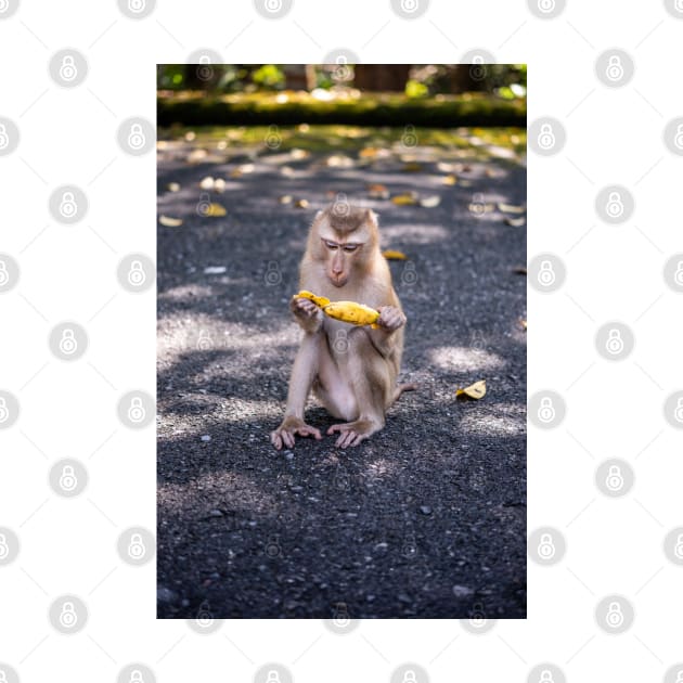 Little cheeky monkey with banana by SCUBAddict