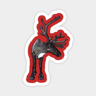 Santa Claus Reindeer Magnet