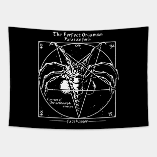 Alien Pentagram Tapestry