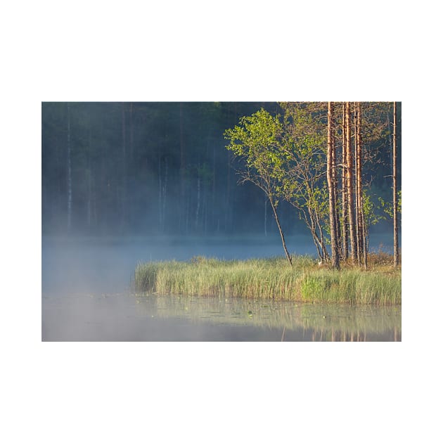 Forest reflecting to small lake at morning by Juhku